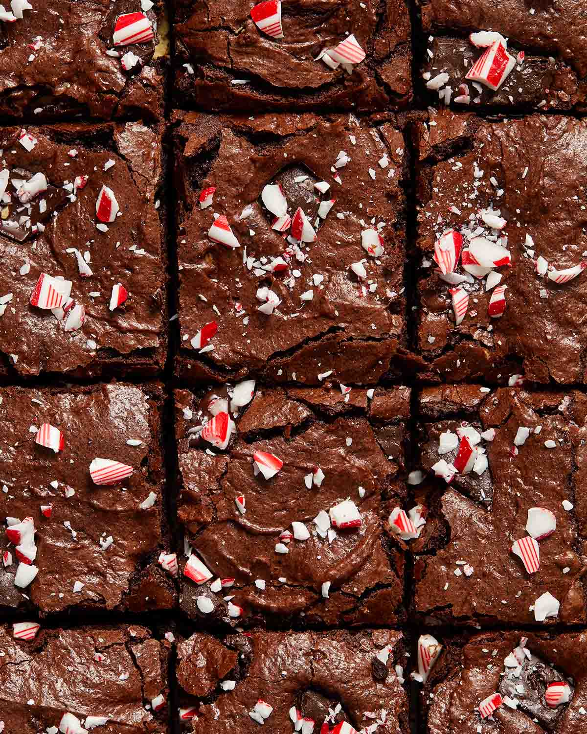Overhead view of peppermint bark brownies cut into squares.