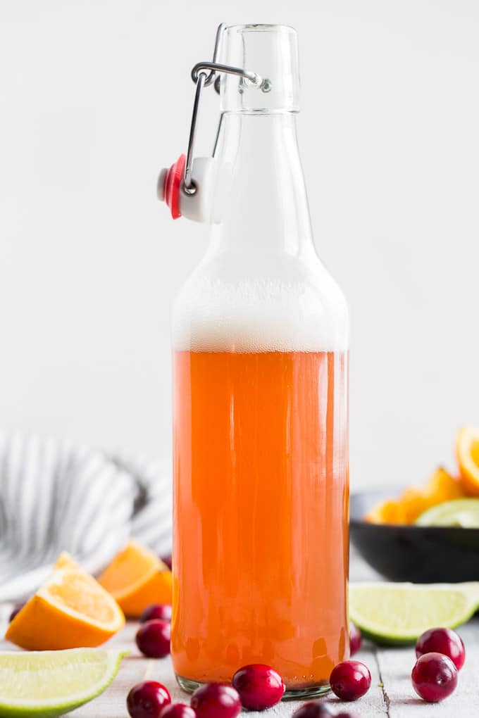 Side view of a bottle of orange cranberry ginger kombucha against a white background.