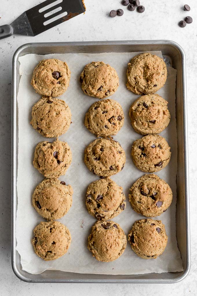 Freshly baked cookie butter cookies cooling on a baking sheet.
