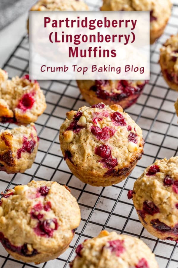 Pinterest image for Partridgeberry Muffins - short pin.