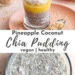 Pinterest image for Pineapple Coconut Chia Pudding - pin 3.