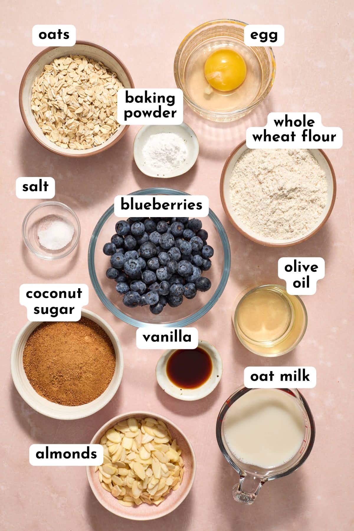 Ingredients to make blueberry oatmeal muffins arranged individually and labeled.