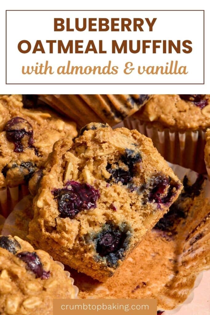 Pinterest image for blueberry oatmeal muffins - short pin with 1 image.