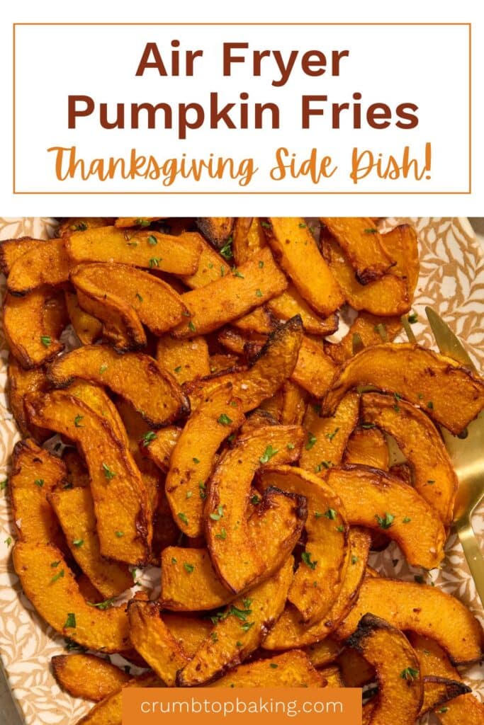 Pinterest image for air fryer pumpkin fries.
