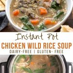 Pinterest image for Instant Pot Chicken Wild Rice Soup - short pin.