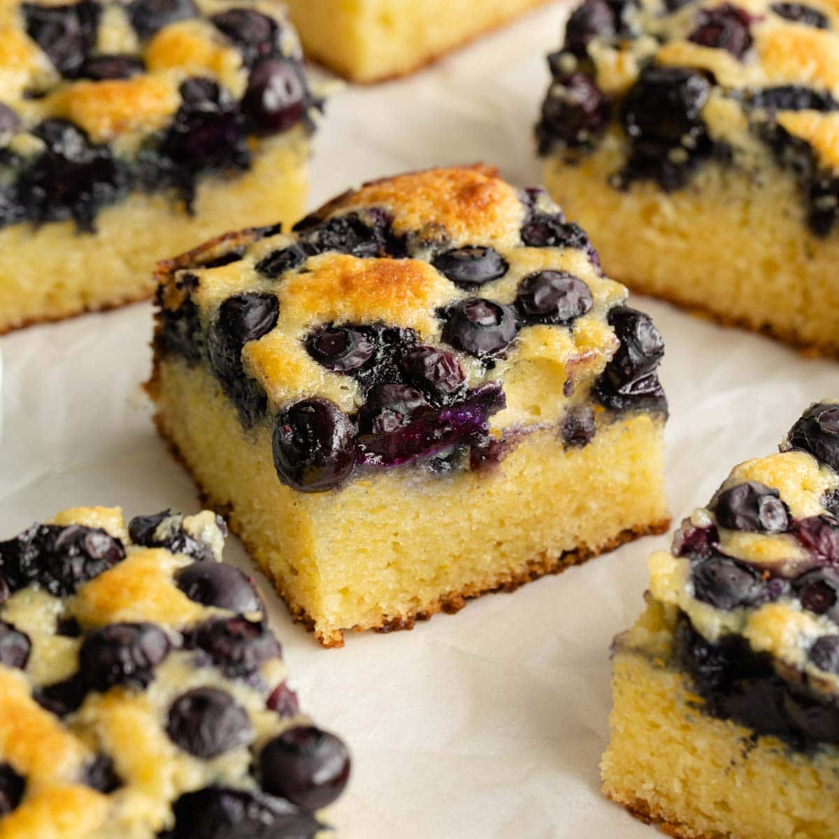 Blueberry cake cut into squares and arranged on parchment paper.