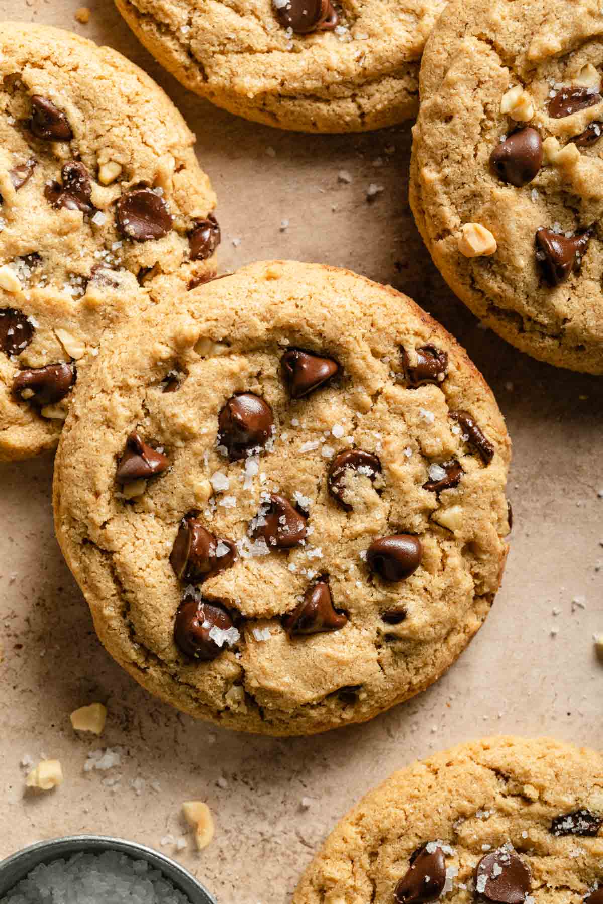 Close up of a peanut butter chocolate chip cookie.