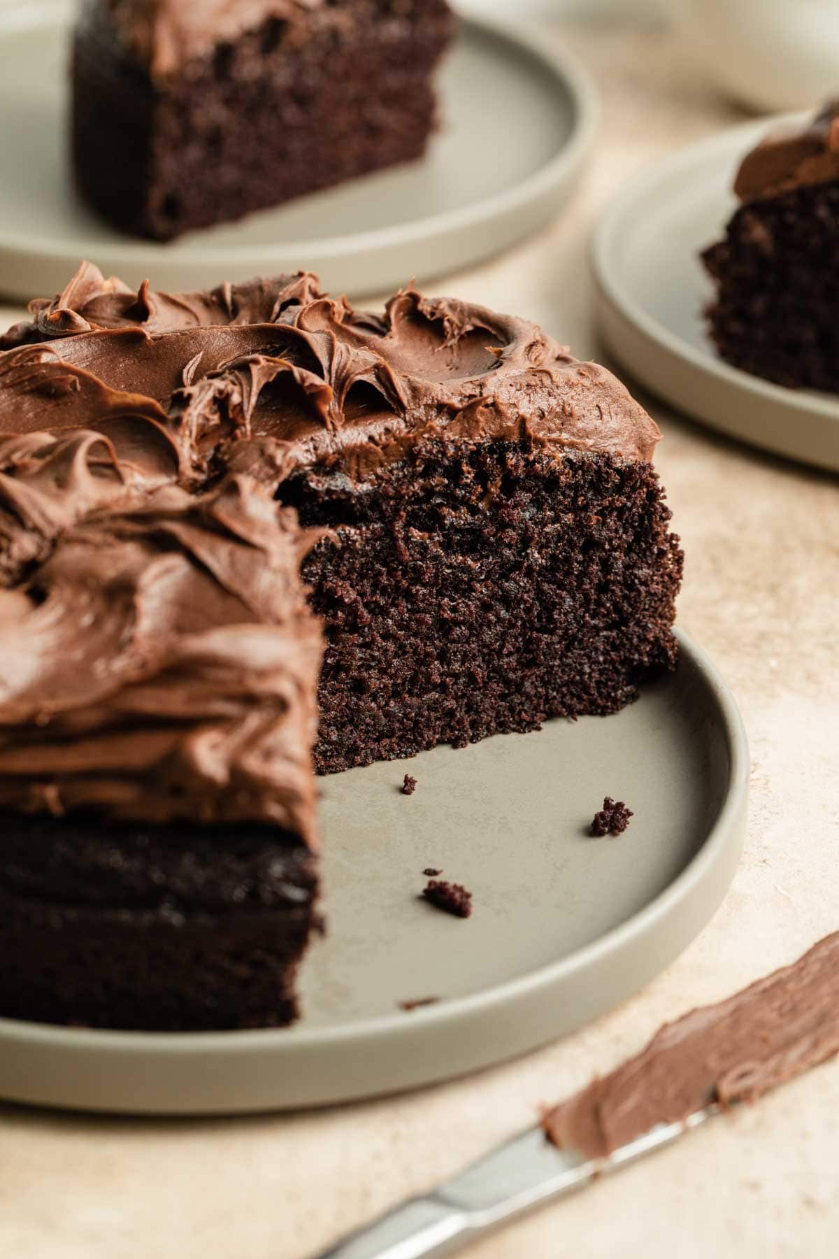 Side view of a cut chocolate cake, exposing the inside moist and soft texture.