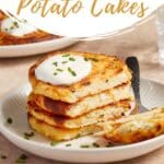 Pinterest image for air fryer potato cakes.