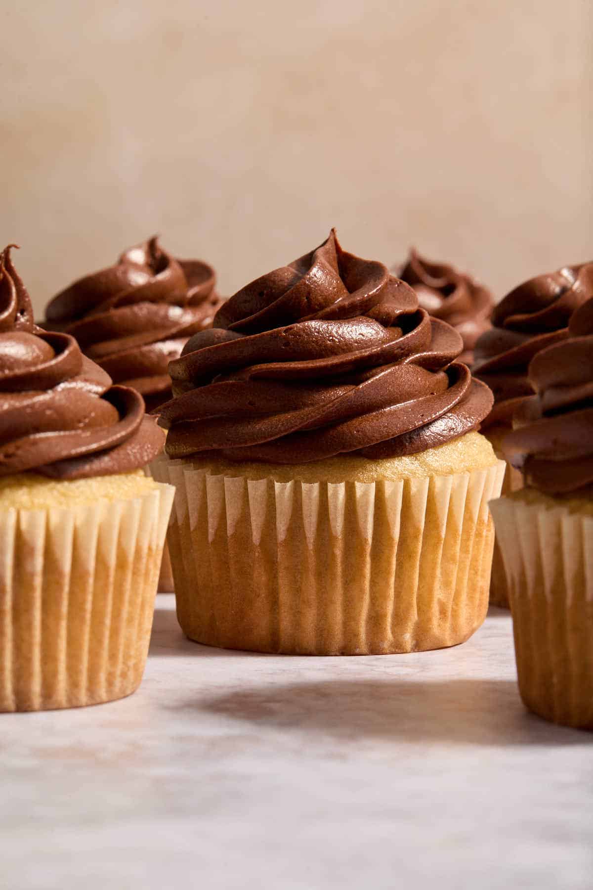 Side view of cupcakes with chocolate frosting swirled on top.