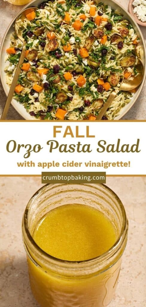 Pinterest image for fall orzo salad.