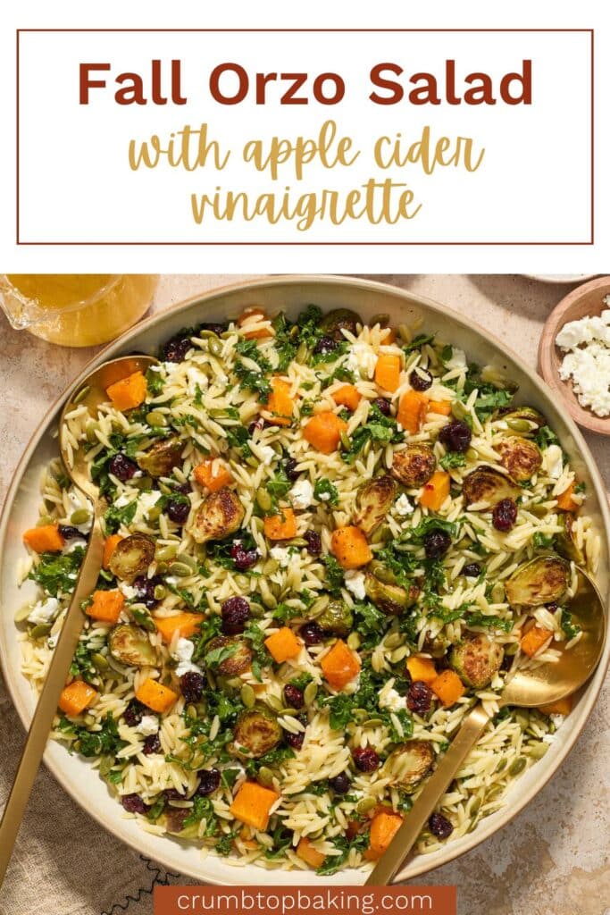 Pinterest image for fall orzo salad with apple cider vinaigrette.