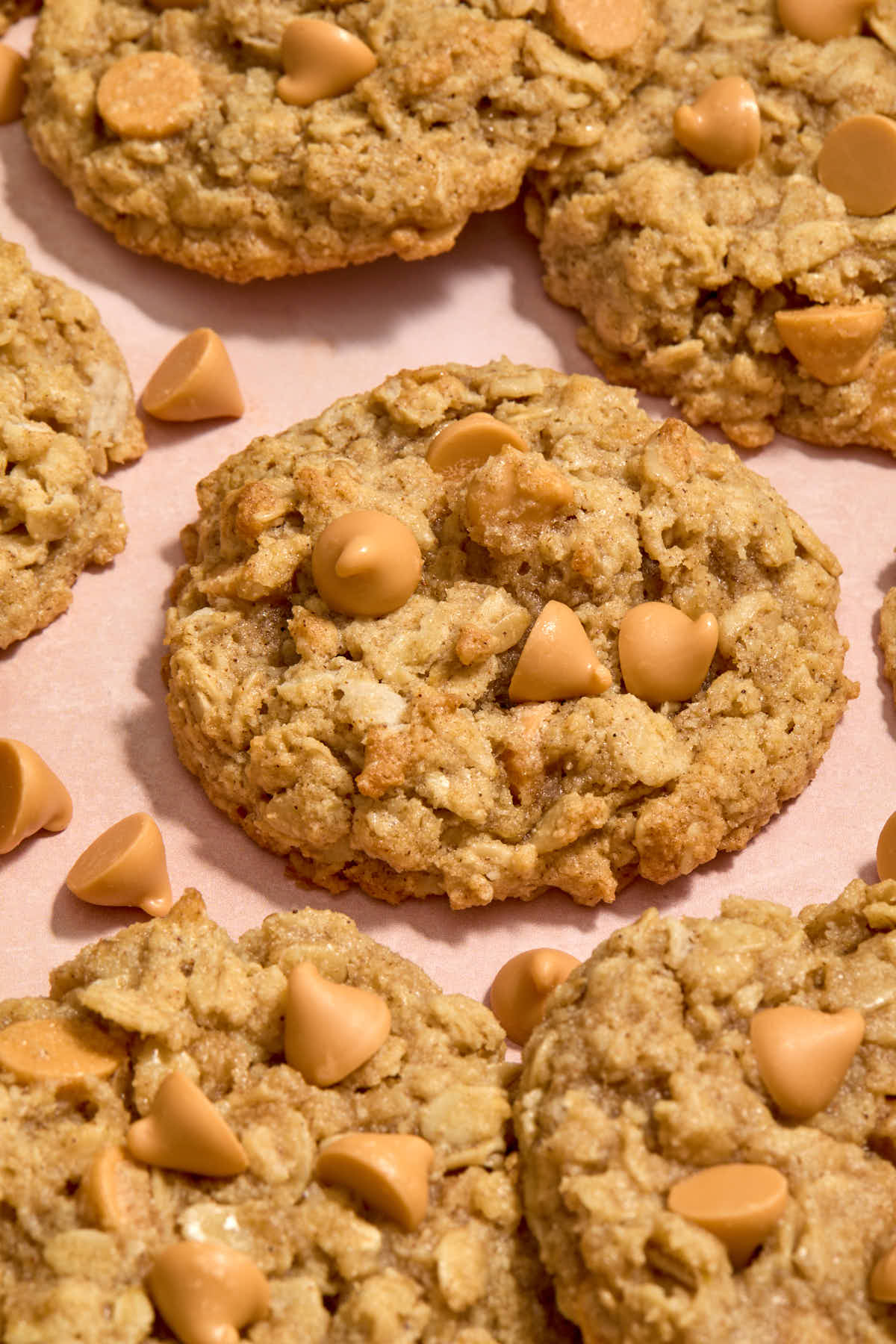 Angled close up of an oatmeal scotchie on a pink surface with other cookies around it.