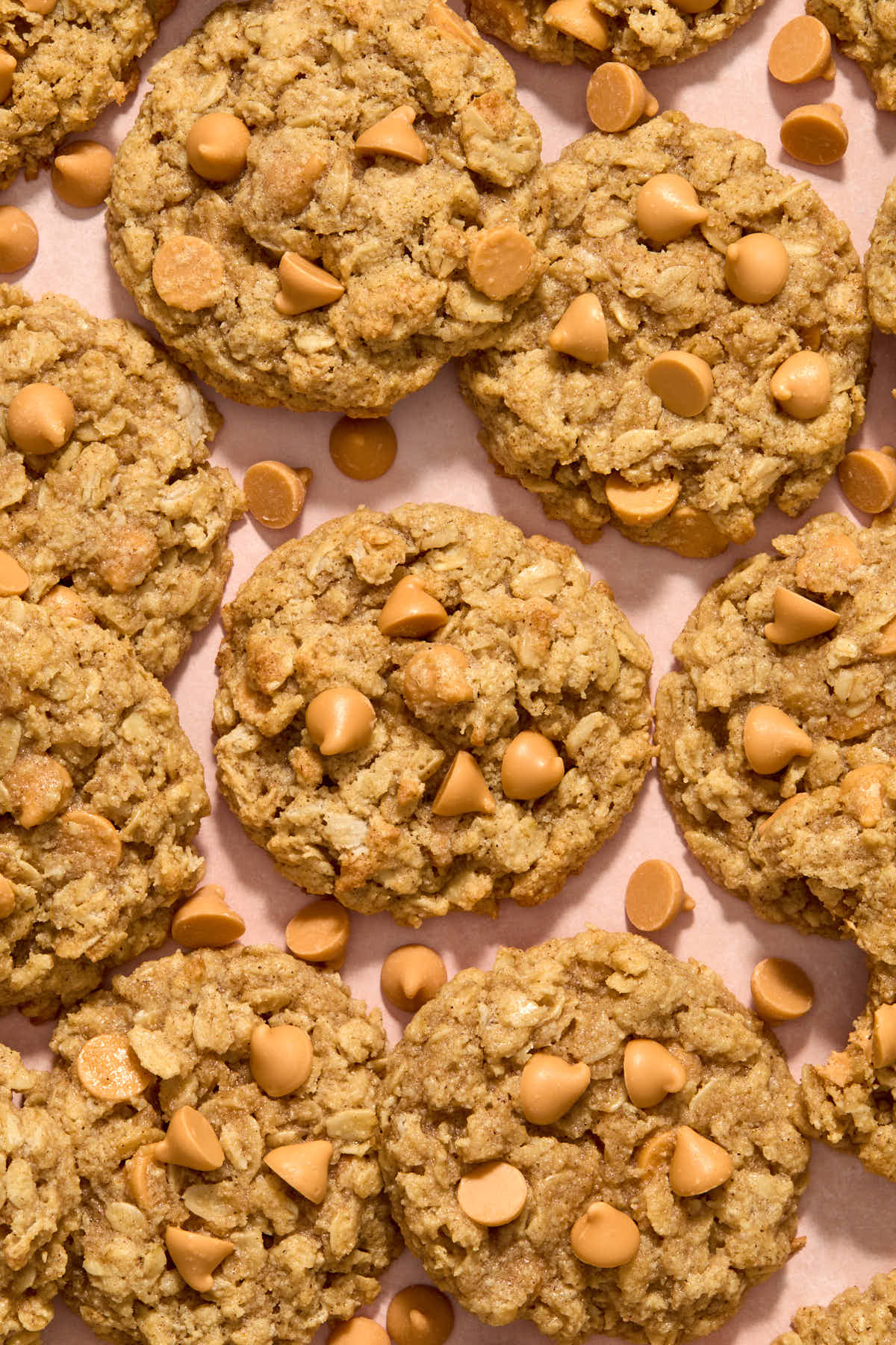 Overhead of oatmeal cookies arranged close together with butterscotch chips scattered around.