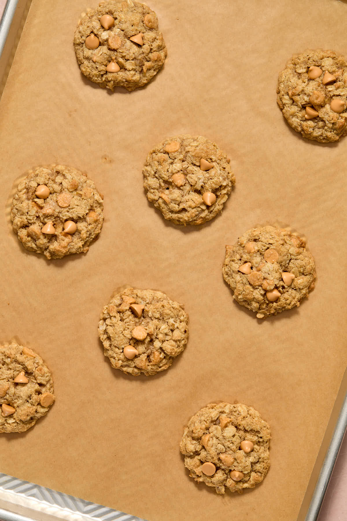 Baked oatmeal cookies on the parchment lined baking sheet.