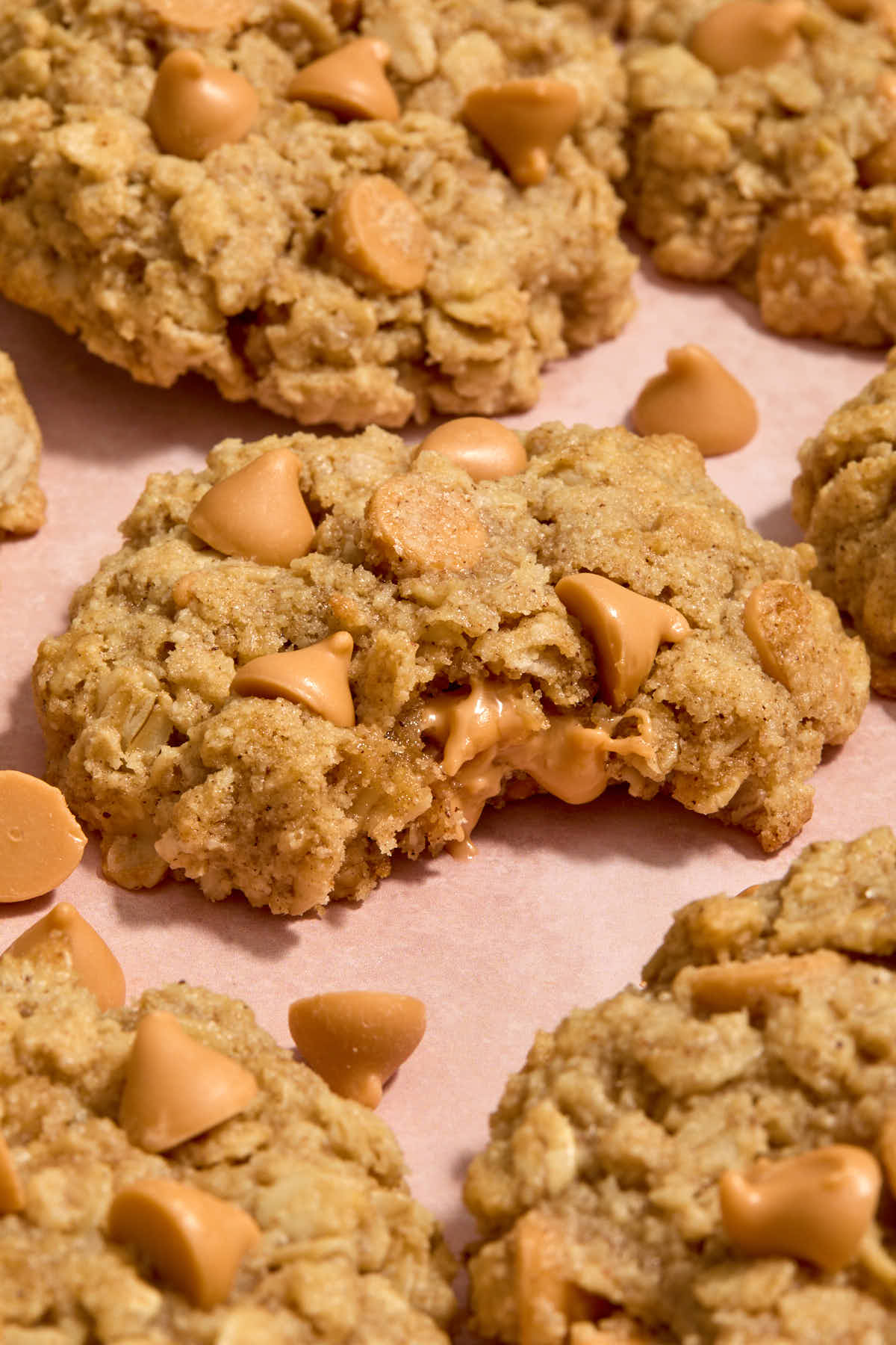 Close up angled view of an oatmeal butterscotch cookie with a bite removed.