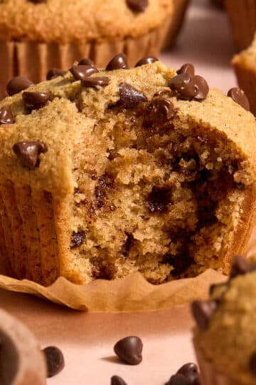 Side view of an almond flour cinnamon chocolate chip muffin with a bite taken.