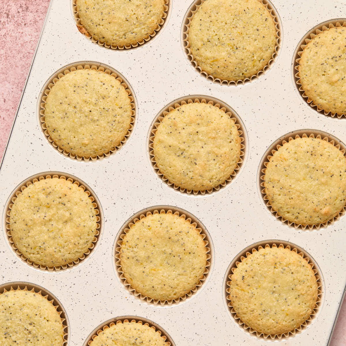 Cupcakes baked in the cupcake pan.