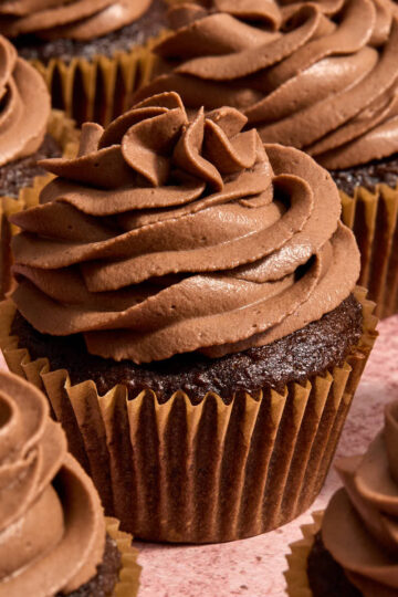 Chocolate cupcakes with chocolate whipped cream cheese frosting piped on top.